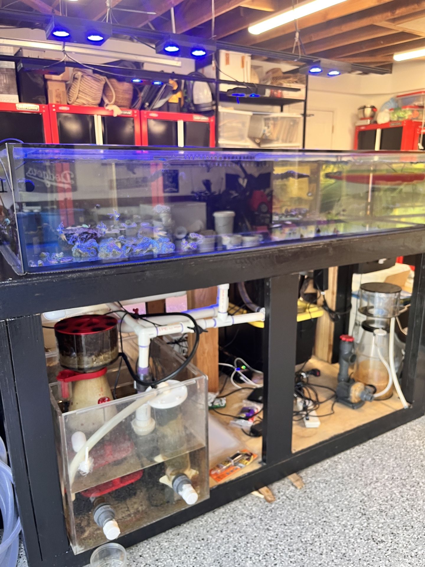 Coral Frag System