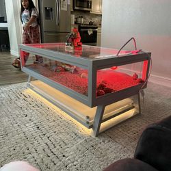 Mesa De Centro Y Pecera  Para Reptiles 