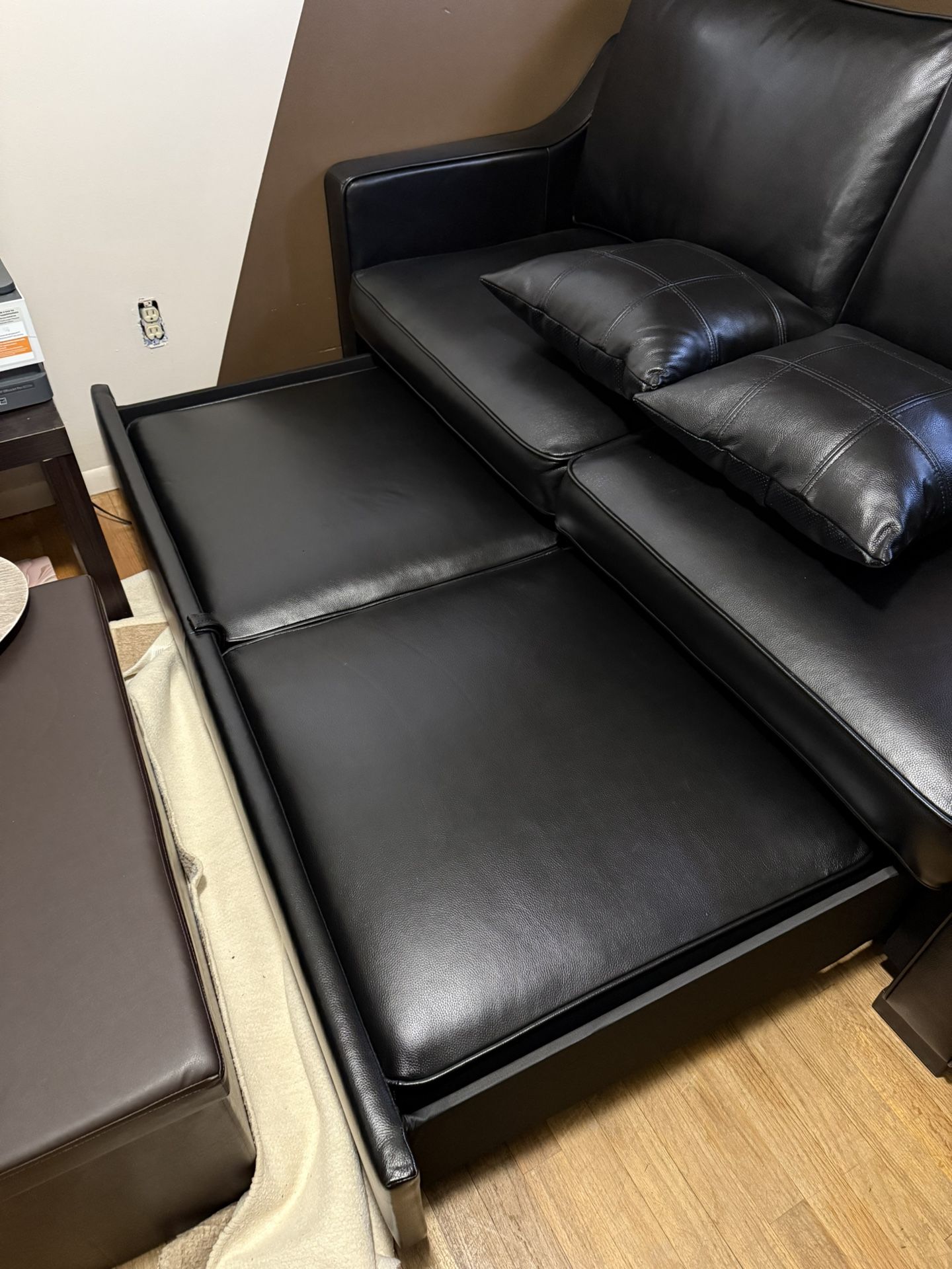 Leather Sofa Sleeper