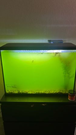 29 GALLON FISH TANK