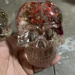 Cráneos De resina $50