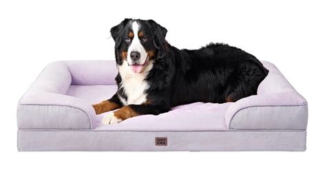 Extra Large Dog Bed