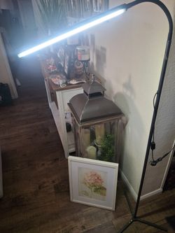 6 Foot LED Clewenwils Lamp