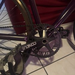 Purple Crew Ace Fixie