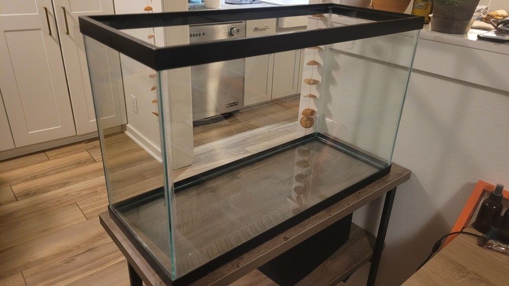 29 Gallon Fish Tank Equipment/supplies, Decor, and Food
