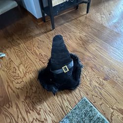 Ladies Witch Costume With Hat And Wig 