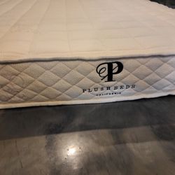 Plushbeds Organic Latex Full Size Mattress For Kids 6" Bunk Beds
