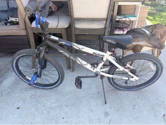 Bike 20’