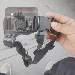 GoPro chesty chest Strap Mount $25 cash