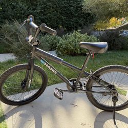 Haro Freestyle BMX Bike (New tires and Recently Serviced) 