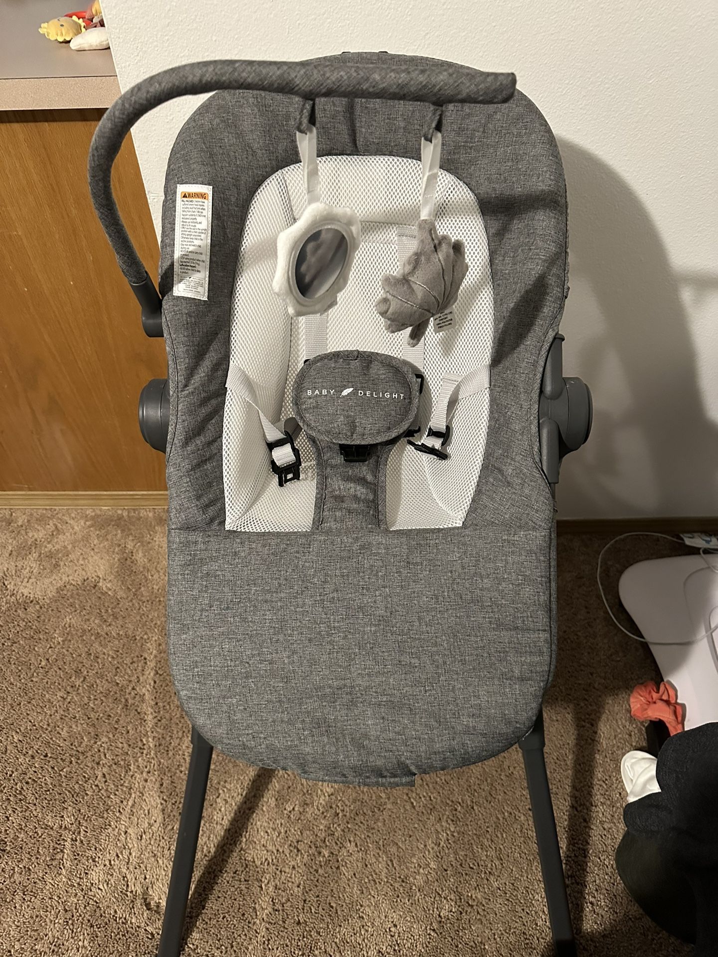 Adjustable baby Lounger