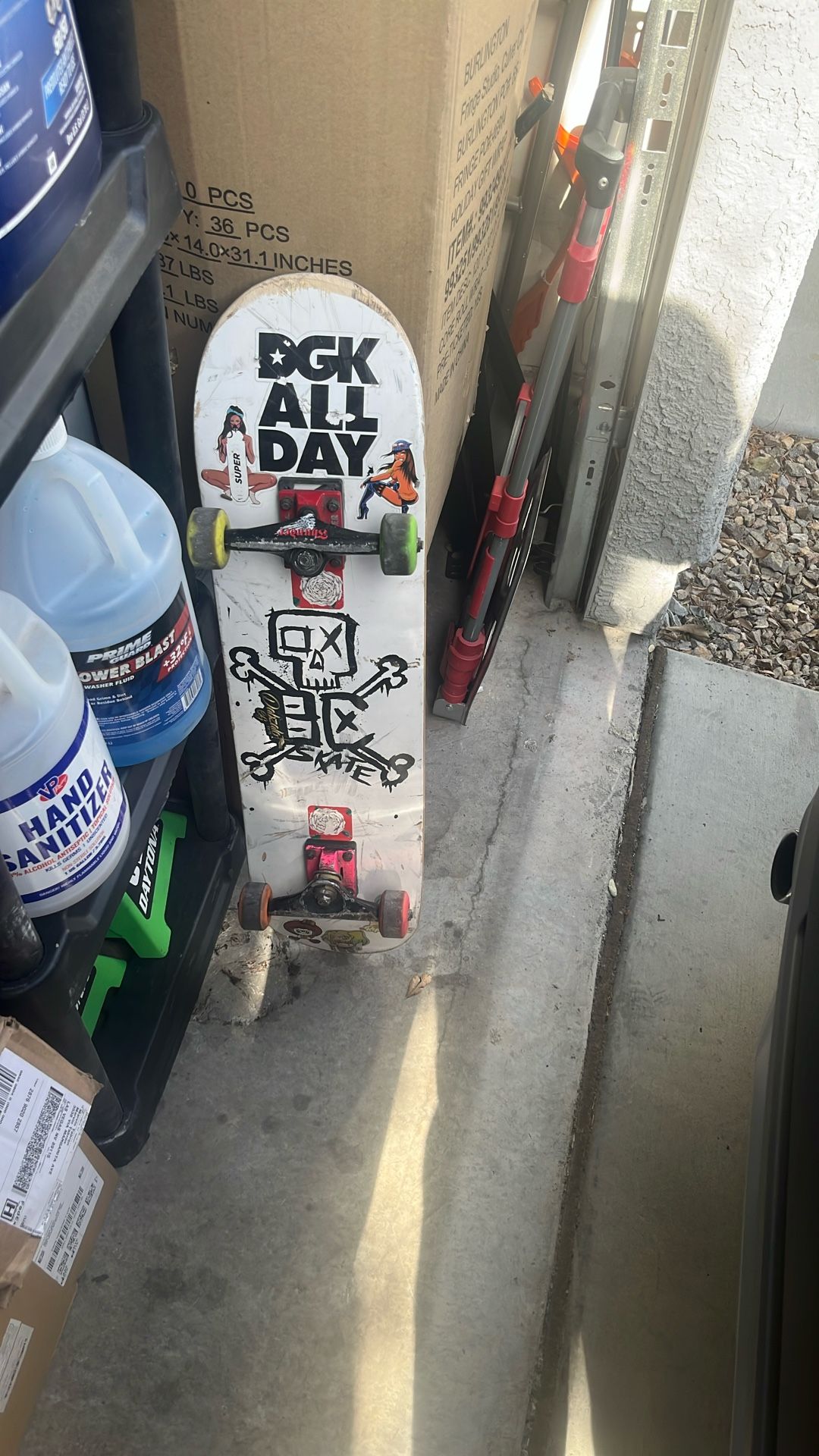 Skate Board