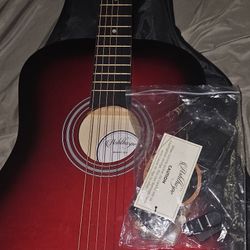 Beginner Guitar 