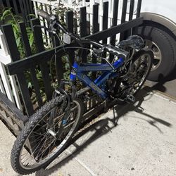Blue Bike For Sale