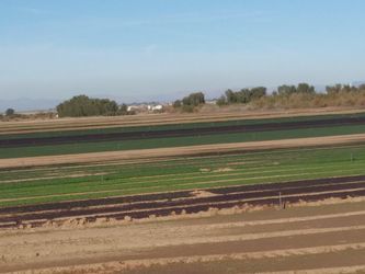 Terreno De Agricultura En Renta