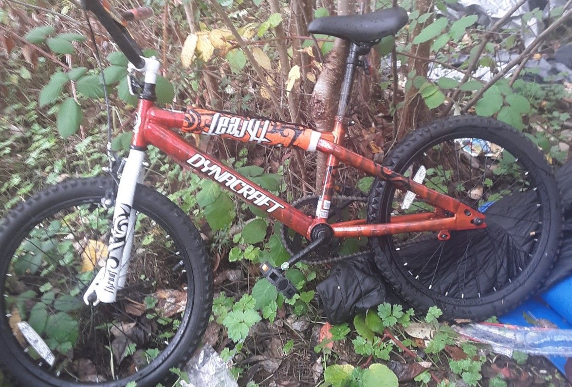 Bmx Bike Dynacraft Fat Bike Dynacraft Rhino Bike 20 Inch R