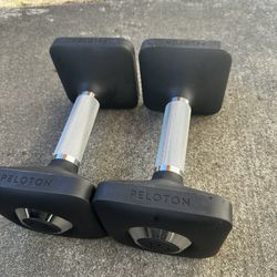 Peloton Weights 