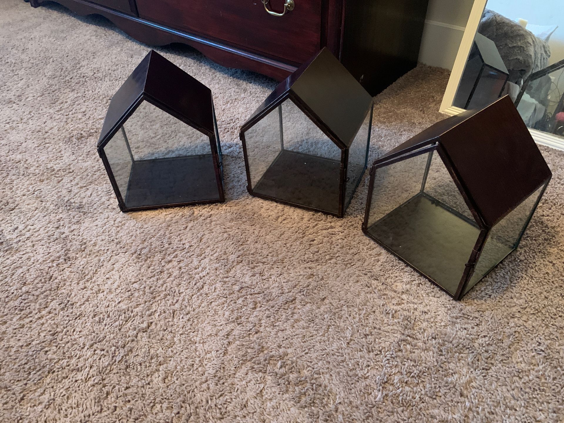 New Terrariums