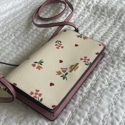 Coach wallet Bag 