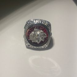 2013 Blackhawks Stanley Cup Ring 