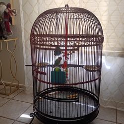 Bird Cage 