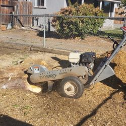 Trees& Palms Servic333