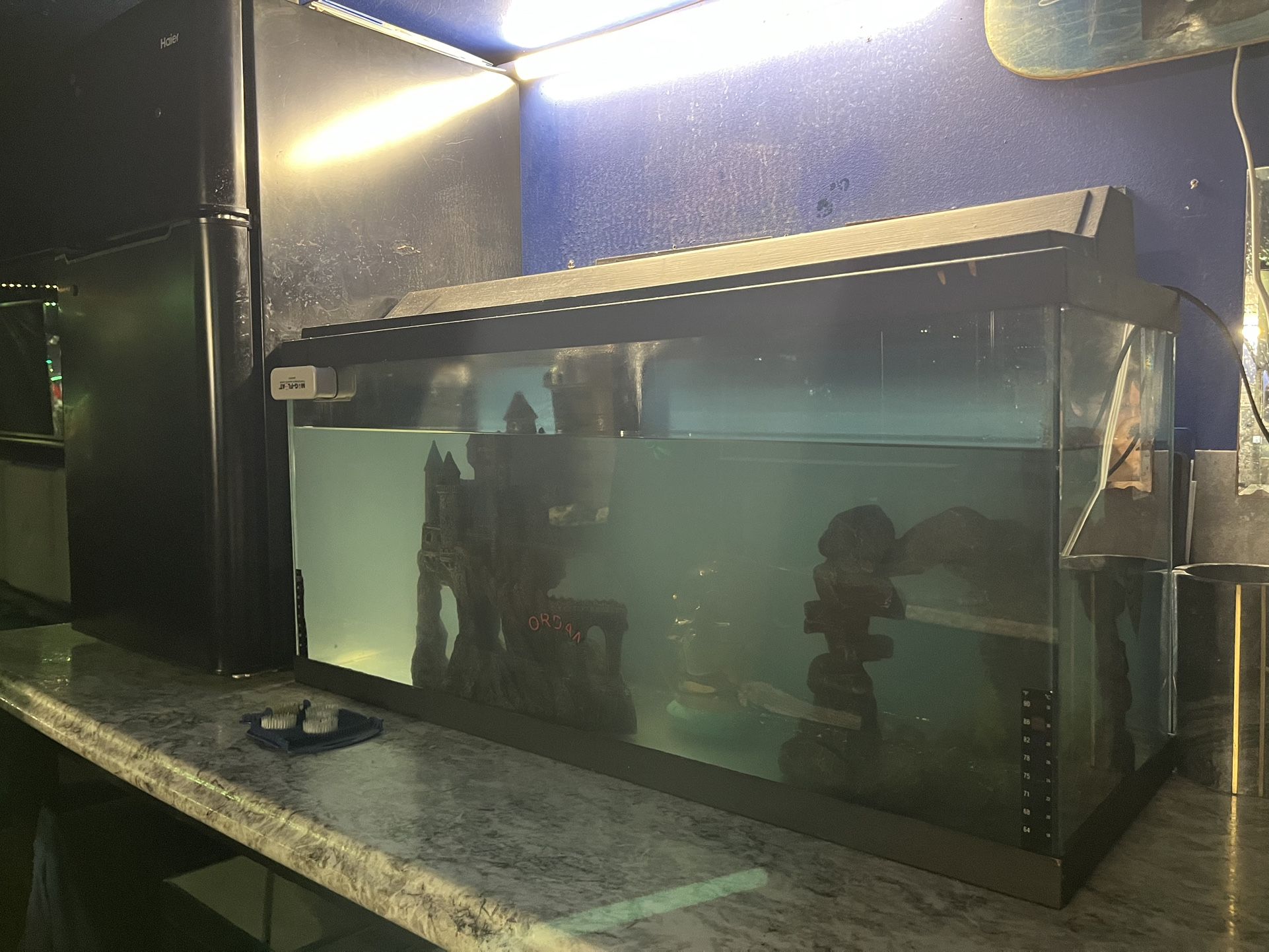 Fish Tank