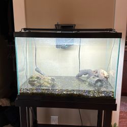 15-20 Gallon Fish Tank With Extras
