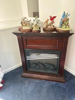 Fireplace ( electric)