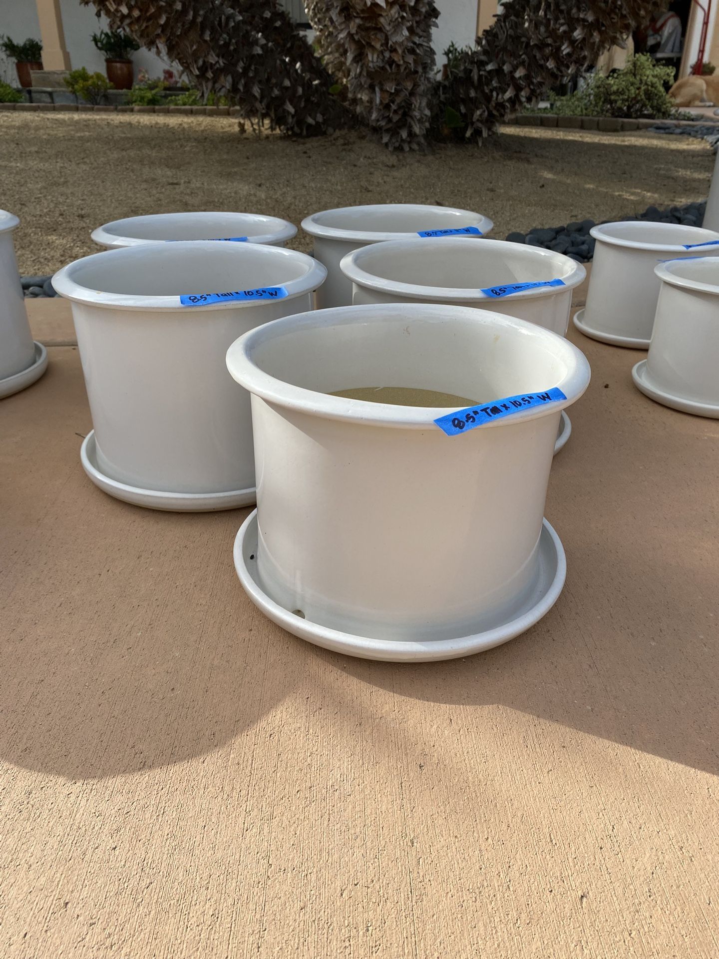 White Ceramic Pots With Attached Saucers In 2 Sizes  1.0  and 0.5 Gallon