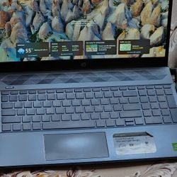 HP 15" Touchscreen Laptop i7, 16gb, 1tb, MX250 GPU