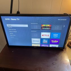 30 Inch Roku Tv