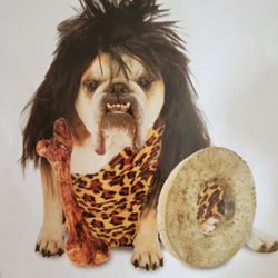 Dog Costume Size Medium New