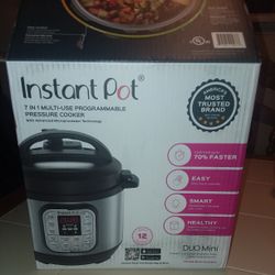 Instant Pot Duo Mini