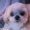 Charleen