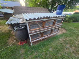 Quail cage