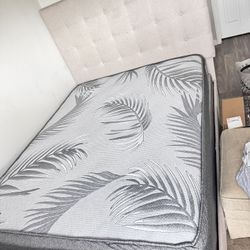 Bed + Box Spring 