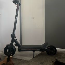 electric scooter max speed 30 mph