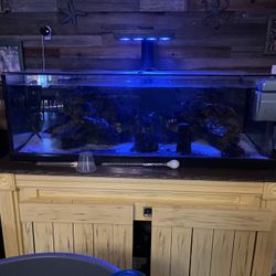 salt water 90 gallon shallow tank