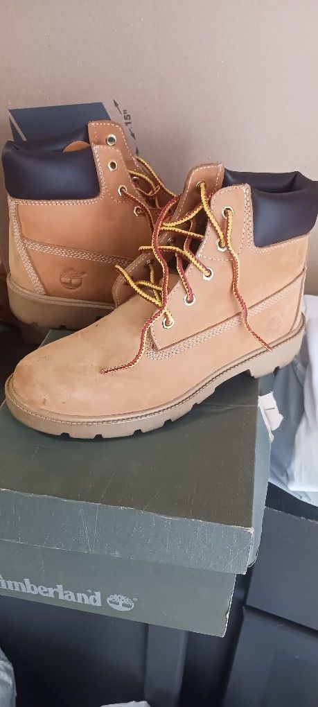 Junior Timberland 