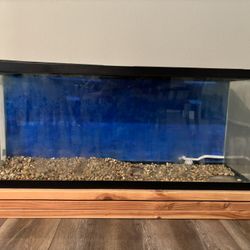 55 Gallon Fish Tank