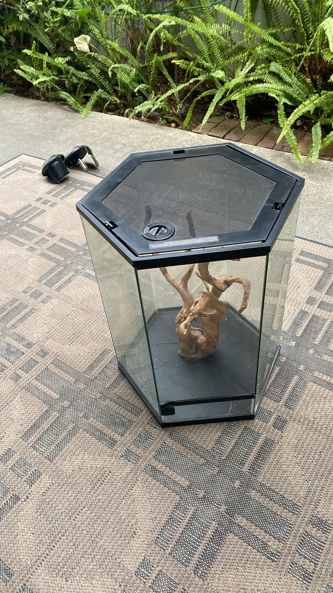 Hexigonal terrarium metal and glass 22” high 19” wide