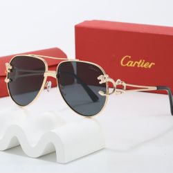 Men’s Sunglasses With Box, Case, And Wipe