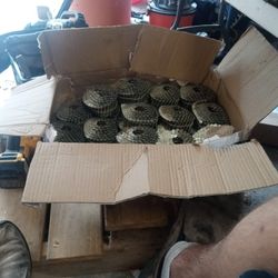1 1/2" Roofing Nails