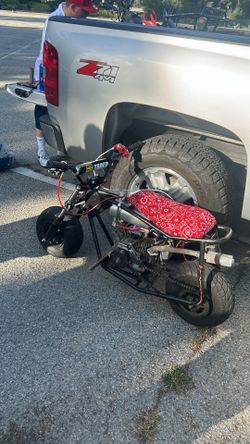 Mini bike doodle bug