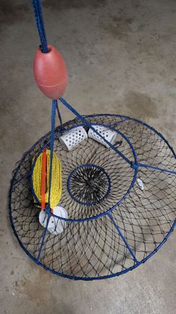 Lobster hoop net
