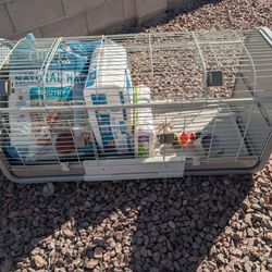 Bunny/Guinea Pig Starter Kit