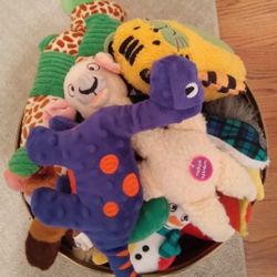 Dog Toys