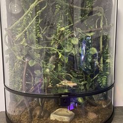 Crested Gecko Vertical Enclosure