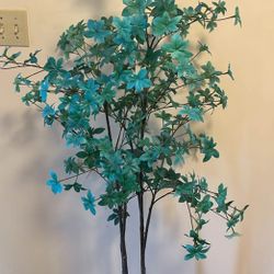 5” Plant